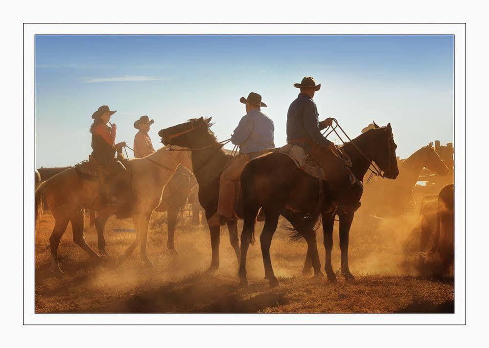 מלון Fredonia Grand Canyon Ranch & Outfitters מראה חיצוני תמונה